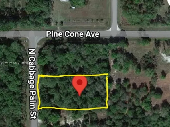 875 N Cabbage Palm St, Clewiston, FL 33440