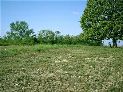 320 Chrisman Oaks Trl photo 1