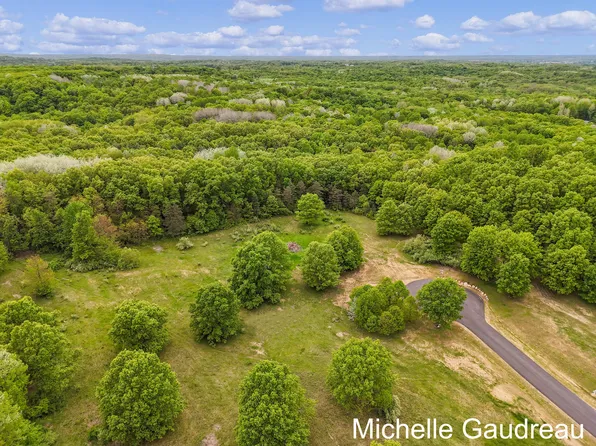 PARCEL Seven Leaf Ln, Freeport, MI 49325