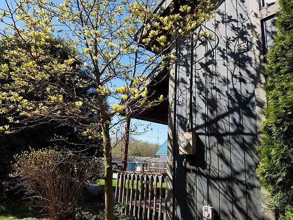 RS, looking toward road