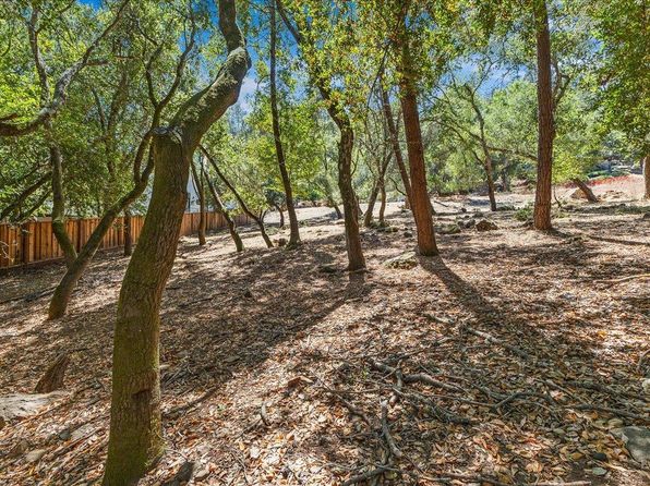 796 Los Olivos Road - Photo 1