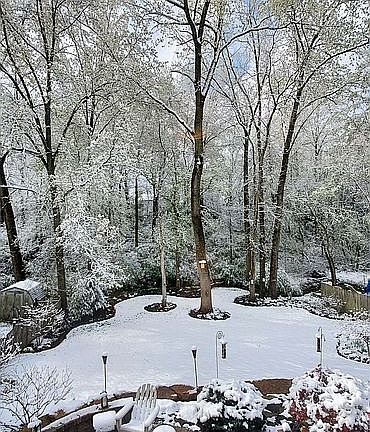 5th image of 5499 Wolf Run Dr