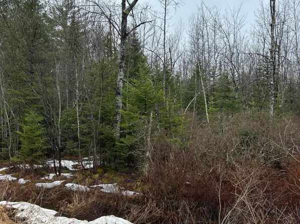 0 Burr Lane, Bowdoin, ME 04287