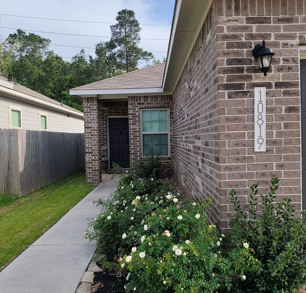 3 bed, 1265 sqft, $3,300 — Photo 3