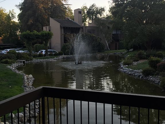 Pond