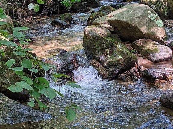 5th image of Tbd Perry Ln