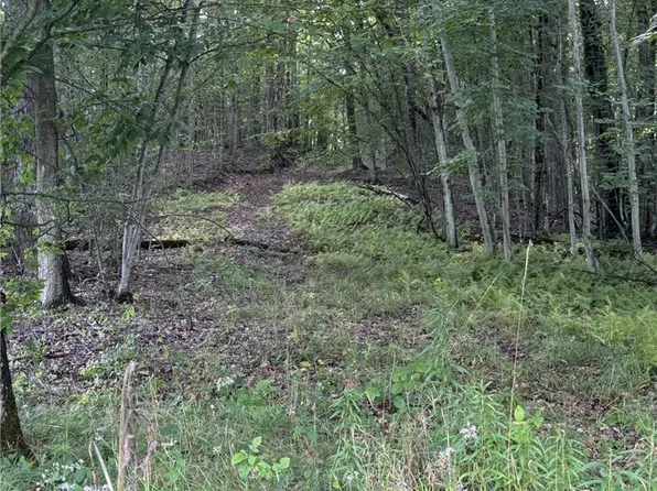 Route 346, Otto Township, PA 16744