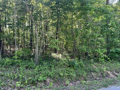 114 Swan Bay Estates Rd Lot 114, Buchanan, TN, 38222