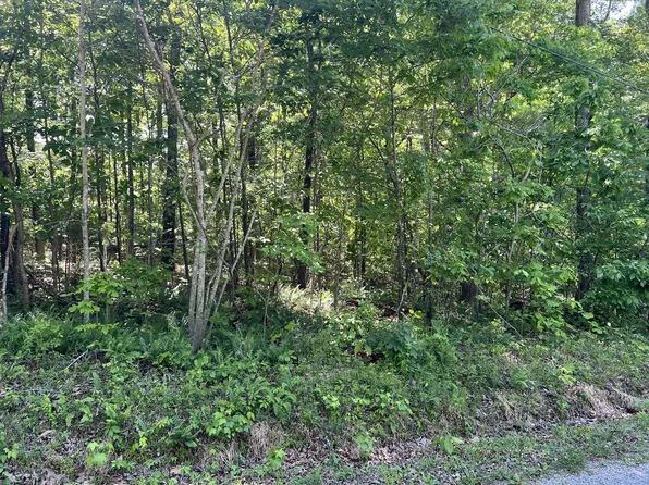 114 Swan Bay Estates Rd Lot 114, Buchanan, TN 38222