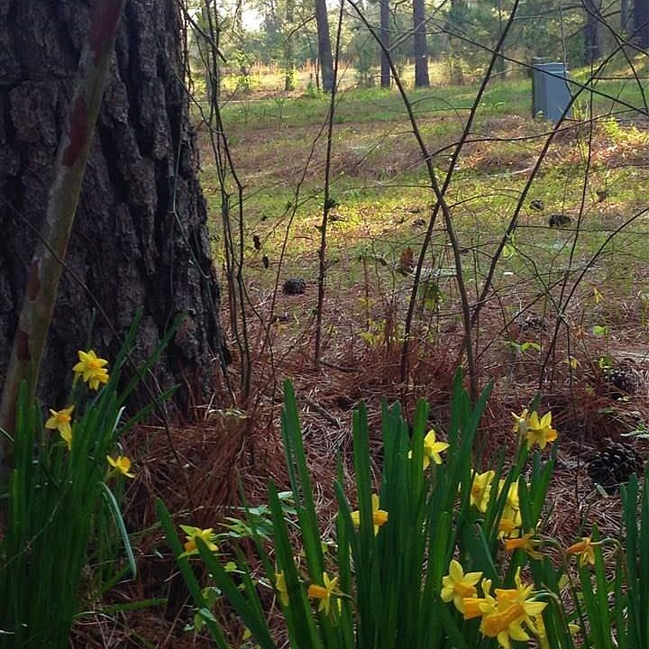 1st image of 8.685 Acres Cres #1580