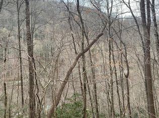 2 & 3 Mount Tabor Rd, Topton, NC 28781