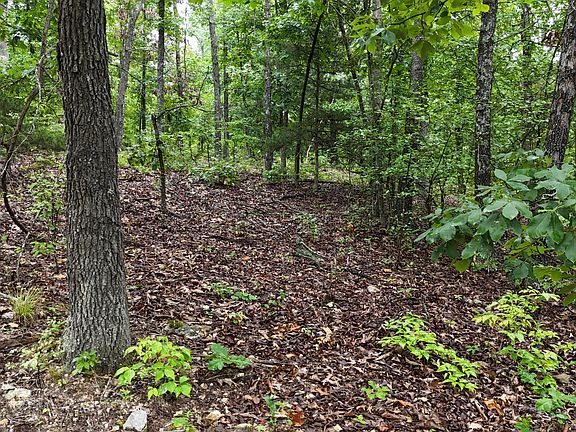 3rd image of 0000 County Road Jj-416