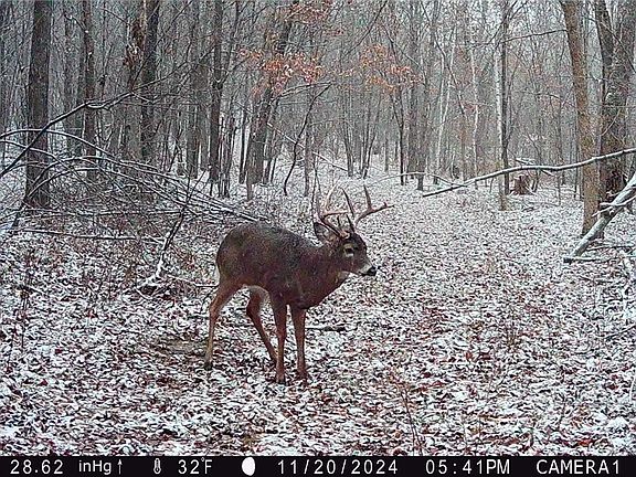 4th image of E9606 (30 acres) 740th Avenue