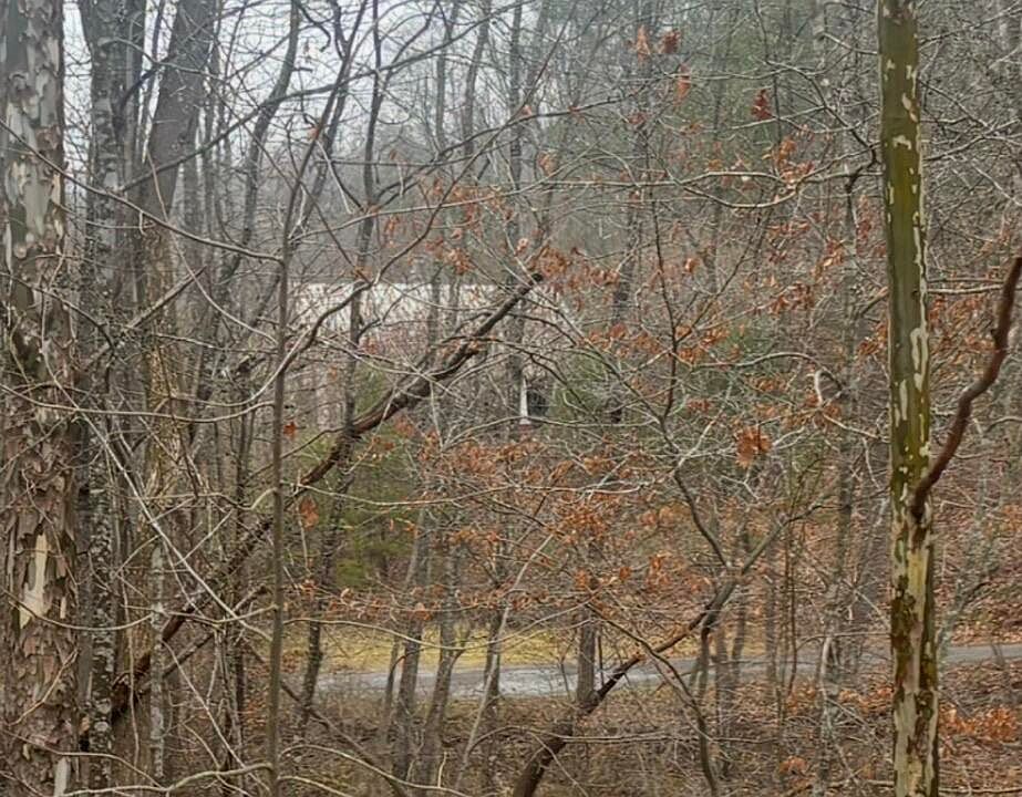 2nd image of 0 Turners Creek Rd