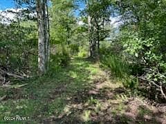 4th image of LOT C3 Spruce Lake Rd #R