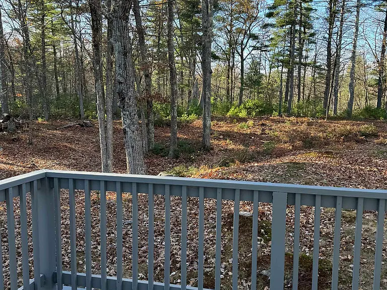 310 Hurricane Hill Rd — Photo 23