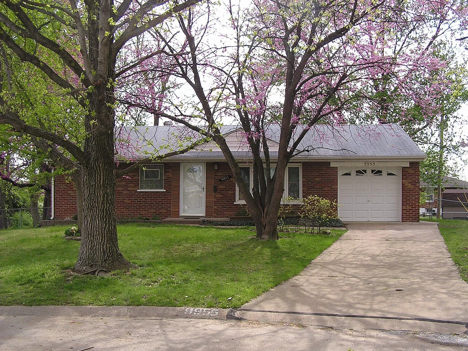 9955 Mahogany Ct photo 1