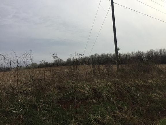 3rd image of Cherry Ln