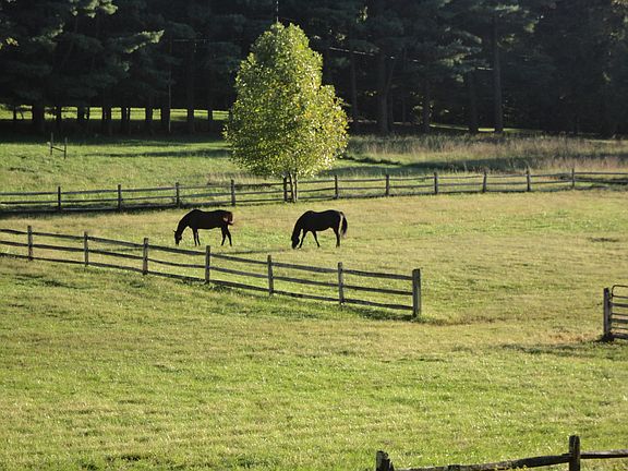 paddocks