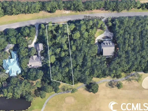 Lot 313 Wallace Pate Dr., Georgetown, SC 29440