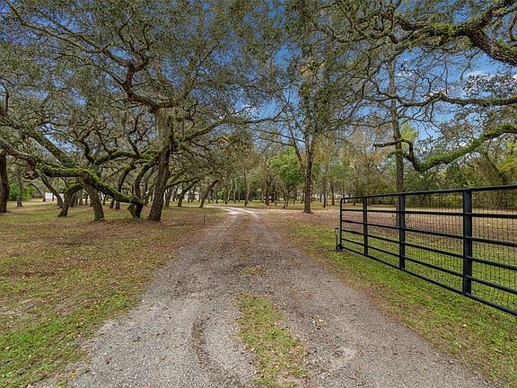 4th image of 13402 Peace Blvd