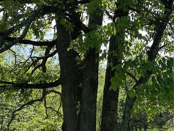 5th image of 10271 N Smokey Bear Rd