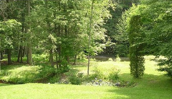 pond in back yard