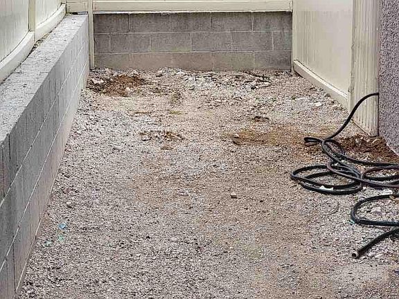 5th image of 6996 Canary Ivy Way