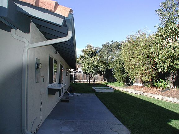 backyard view 2