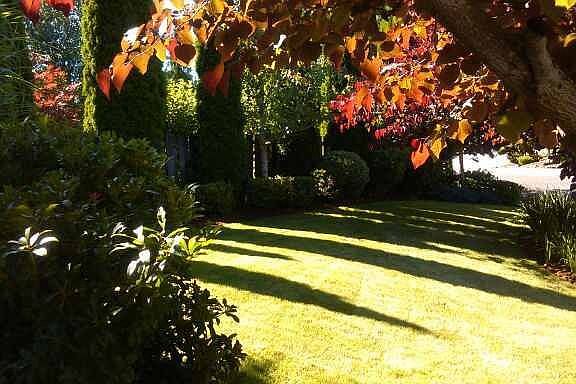 Front Yard