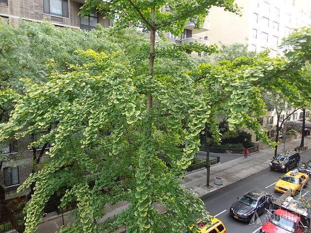 1st image of 308 E 49th St APT 2B