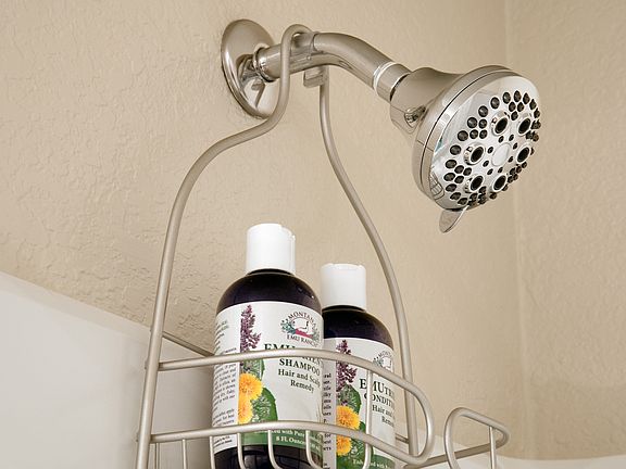 Bathroom Showerhead