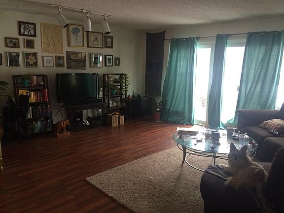 Spacious living room