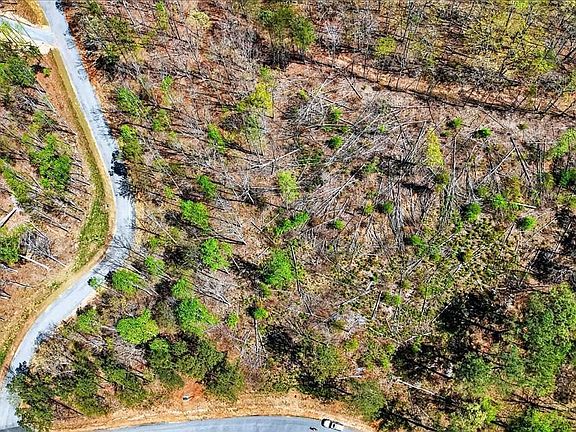 5th image of 0 Twisted Oak Rd #440