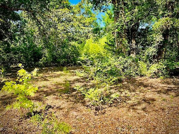 4th image of 2718 Brumbaugh Rd Lot 4