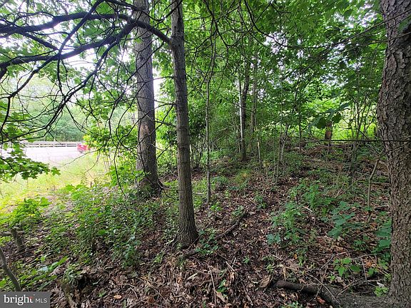 4th image of Philipsburg Bigler Hwy