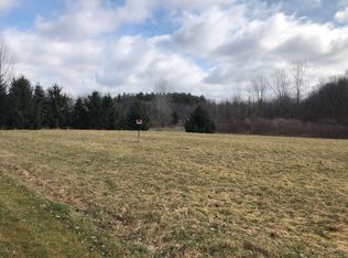 21668 Centennial Dr, Conklin, MI 49403