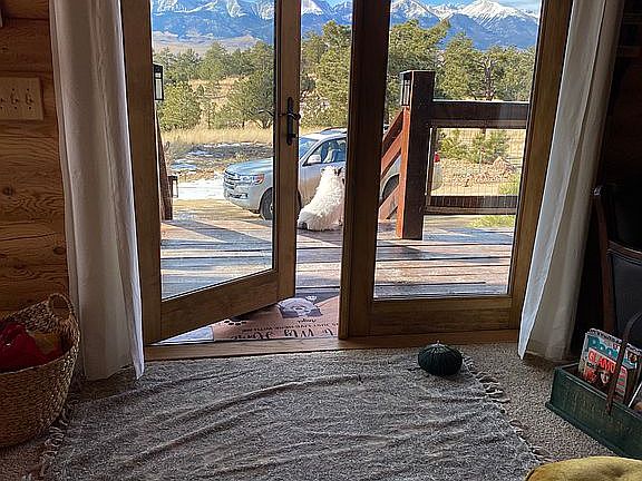 New Front French Doors