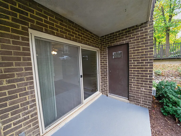 The Forest Apartments — Photo 25