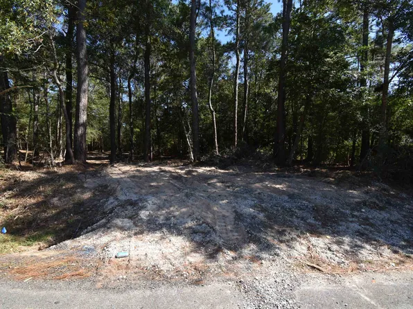 5145 Ariola Ln, Lumberton, TX 77657