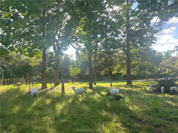 460 Sundown Rd, Caldwell, TX 77836