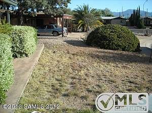 Front yard now has green grass