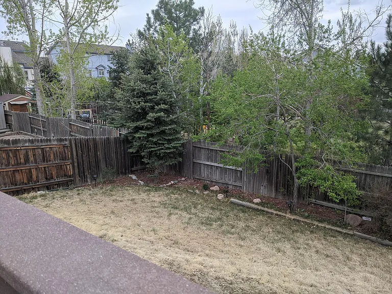 9045 Rochester Dr — Photo 73