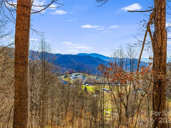 550 Cale Way, Clyde, NC 28721