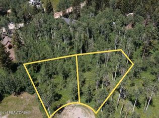 43 & 44 Vista Ct, Thayne, WY 83127