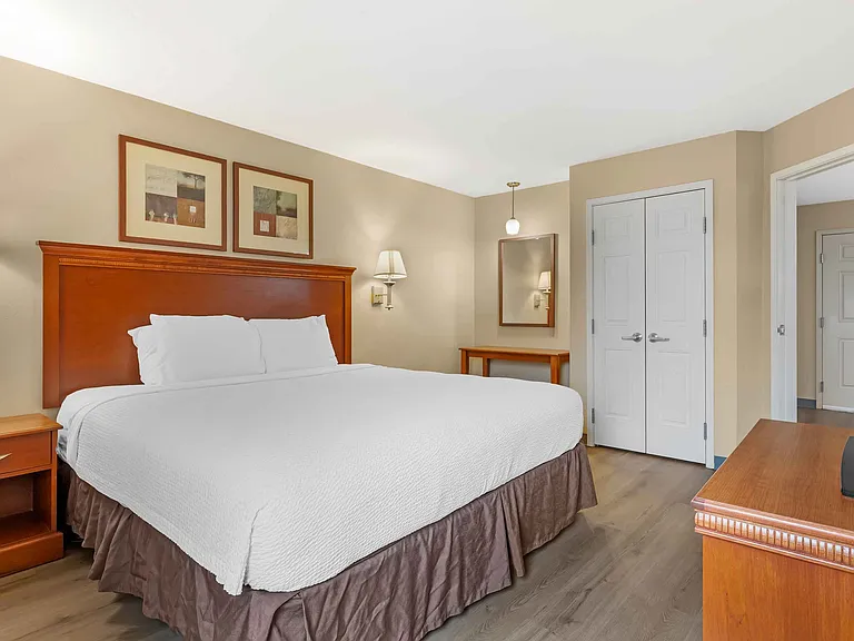 1 Bedroom Suite - 1 King Bed