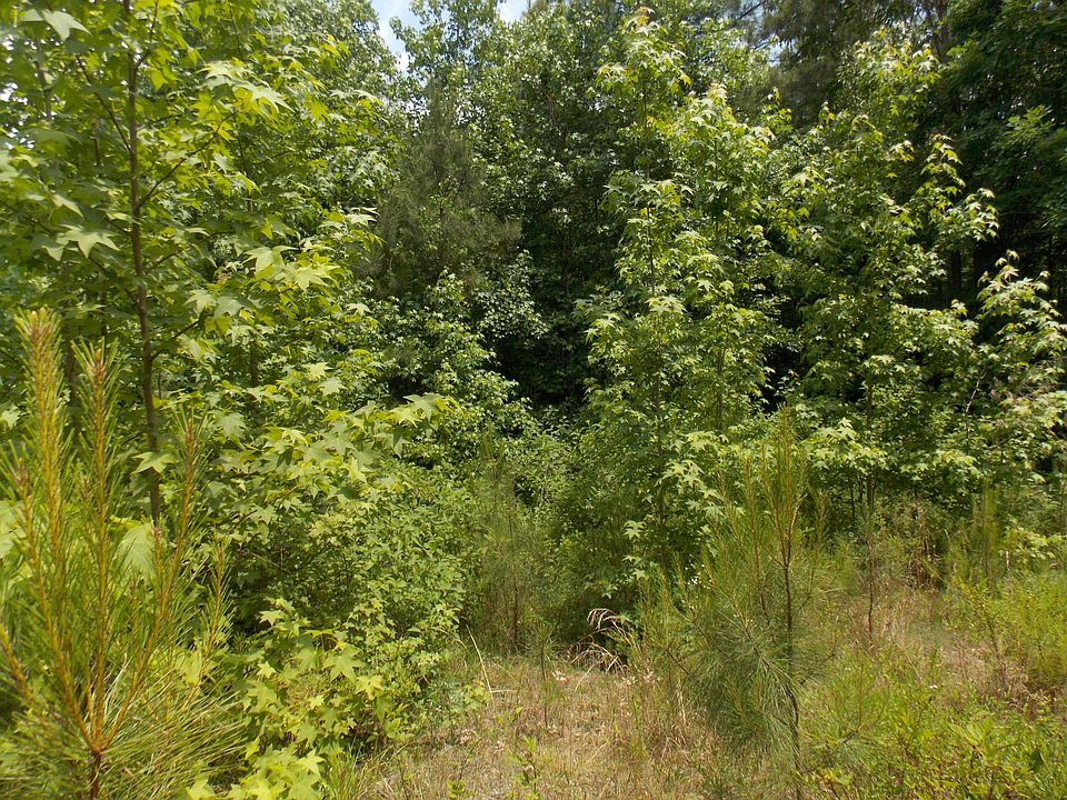 2nd image of 5 Buckhead Rd