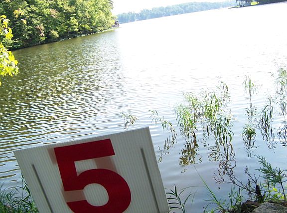 3rd image of 5 Waterlyn Dr