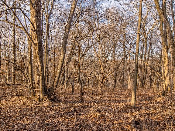4th image of Xx Belvidere Ridge Rd
