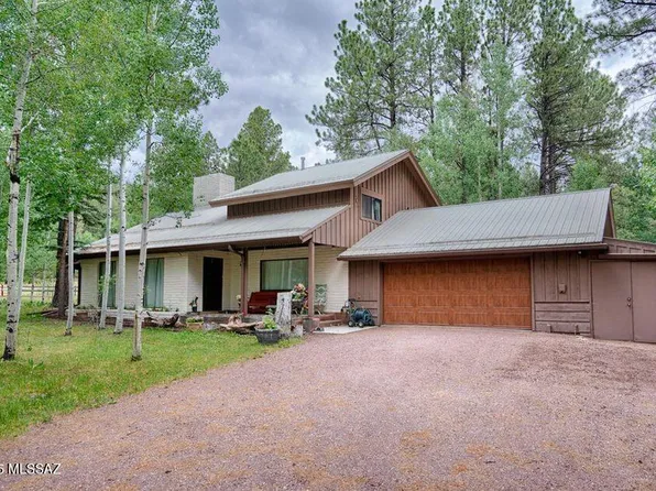 31 County Rd, Greer, AZ 85927
